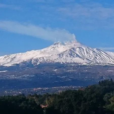 Apartment Terrazza Sul Mare